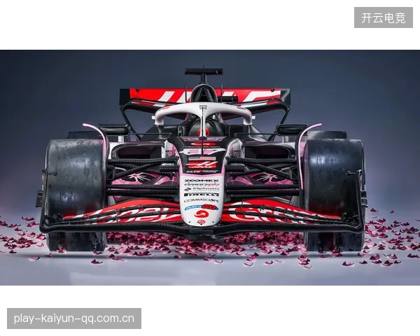 F1车队年度预算分析：谁更会花钱做效率？